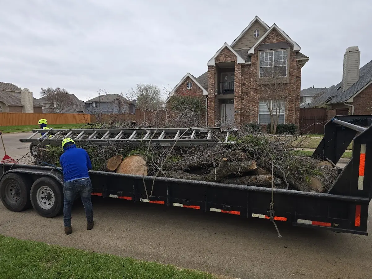 Expert Tree Fertilization with proper safety equipment in Montchanin